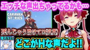 【面白まとめ】お互いの声にツッコミが止まらないマリン船長とラミィ【宝鐘マリン/雪花ラミィ/ホロライブ切り抜き】