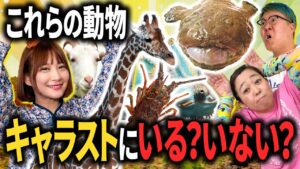 【ビーストいるいないクイズ】「キリン」「エビ」はキャラストにいる？【 #キャラストTV 】